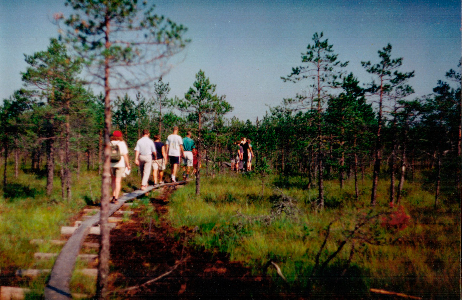 Kaika Suvõülikuul Vilustõn 2
